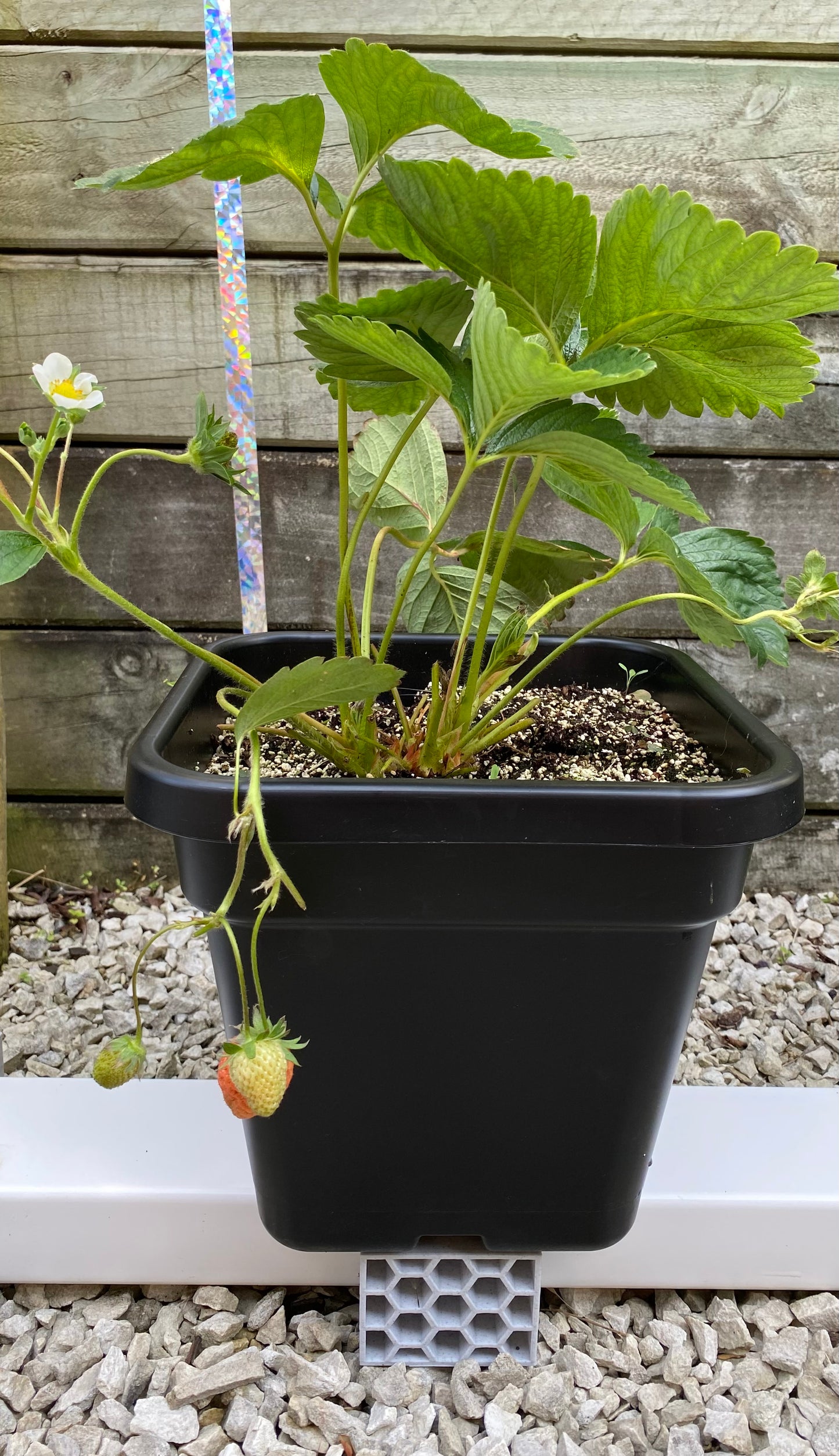 Hydroponic Planter Stand